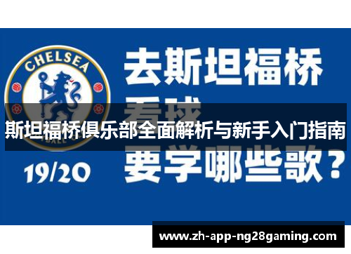 斯坦福桥俱乐部全面解析与新手入门指南