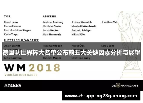 德国队世界杯大名单公布前五大关键因素分析与展望
