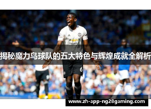 揭秘魔力鸟球队的五大特色与辉煌成就全解析 揭秘魔力鸟球队的五大特色与辉煌成就全解析