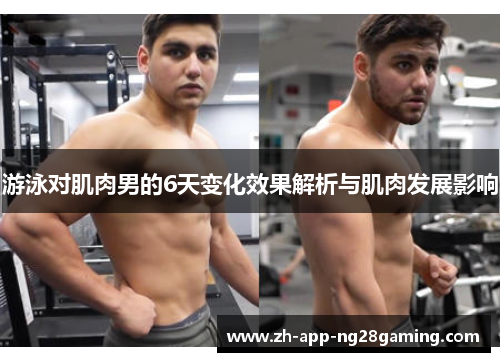游泳对肌肉男的6天变化效果解析与肌肉发展影响