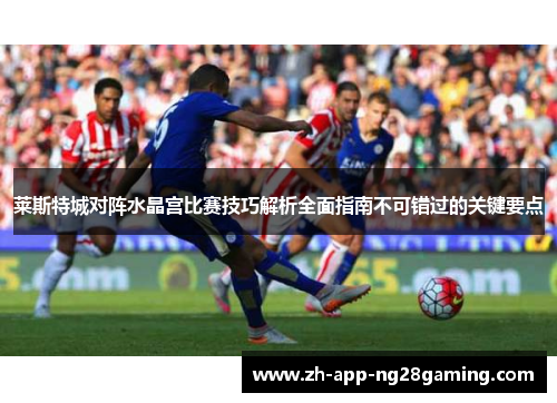 莱斯特城对阵水晶宫比赛技巧解析全面指南不可错过的关键要点