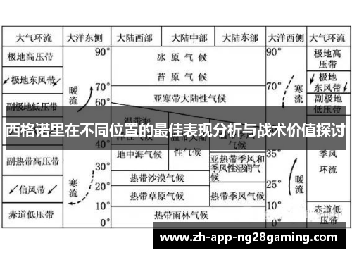 西格诺里在不同位置的最佳表现分析与战术价值探讨 西格诺里在不同位置的最佳表现分析与战术价值探讨