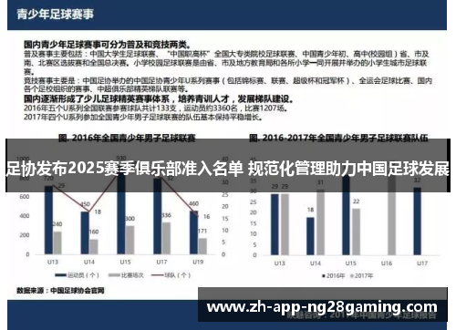 足协发布2025赛季俱乐部准入名单 规范化管理助力中国足球发展