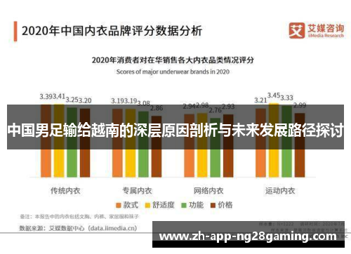 中国男足输给越南的深层原因剖析与未来发展路径探讨