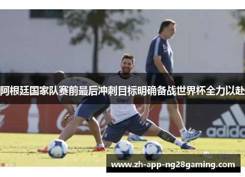 阿根廷国家队赛前最后冲刺目标明确备战世界杯全力以赴 阿根廷国家队赛前最后冲刺目标明确备战世界杯全力以赴