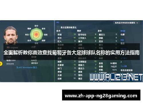 全面解析教你高效查找葡萄牙各大足球球队名称的实用方法指南 全面解析教你高效查找葡萄牙各大足球球队名称的实用方法指南