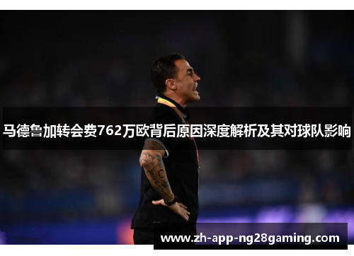 马德鲁加转会费762万欧背后原因深度解析及其对球队影响