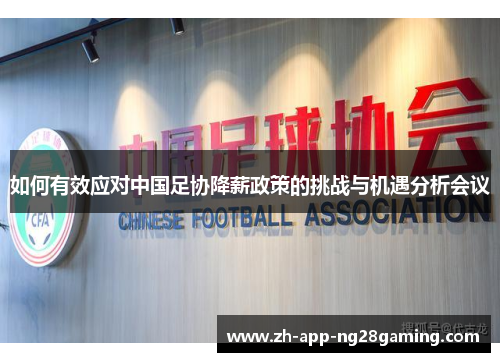 如何有效应对中国足协降薪政策的挑战与机遇分析会议