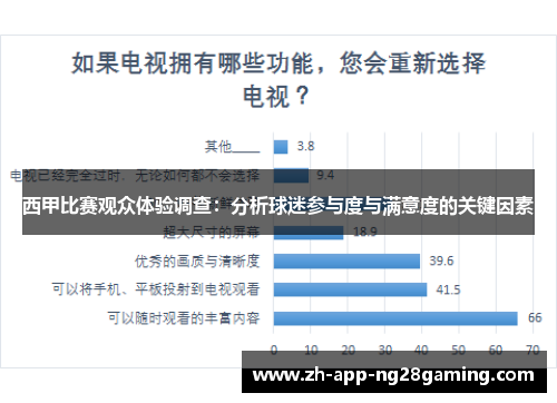 西甲比赛观众体验调查：分析球迷参与度与满意度的关键因素