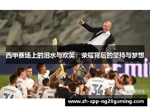 西甲赛场上的泪水与欢笑：荣耀背后的坚持与梦想